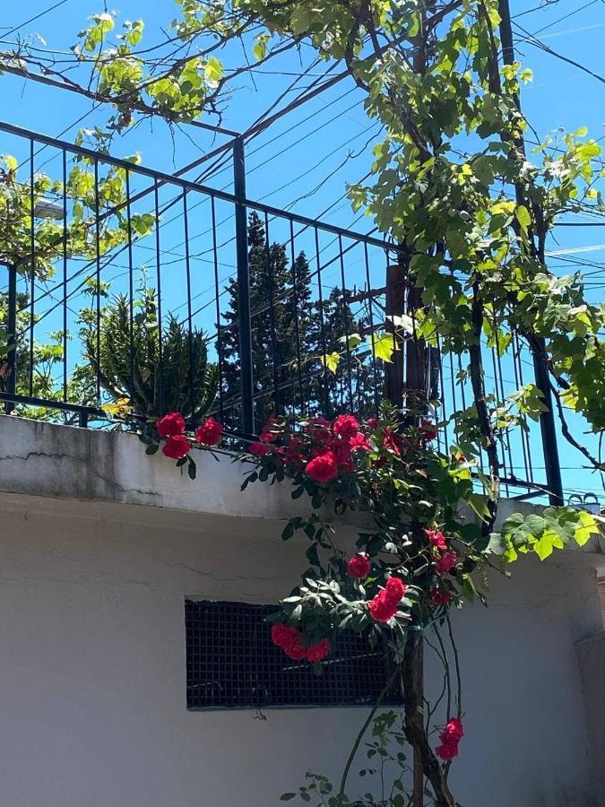 Naziti House Ξενοδοχείο Μπατούμι Εξωτερικό φωτογραφία